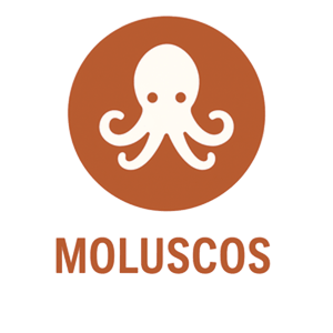 Moluscos
